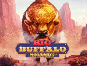 game logo by Skywind Group on herculesscasino.com